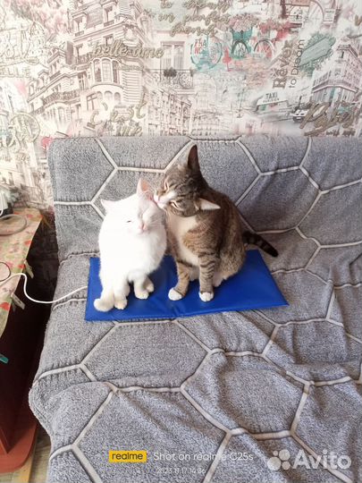 Теплый коврик