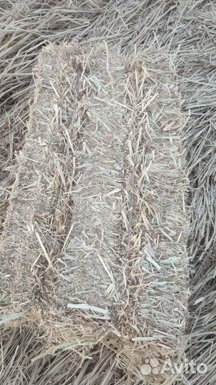 Сено в тюках