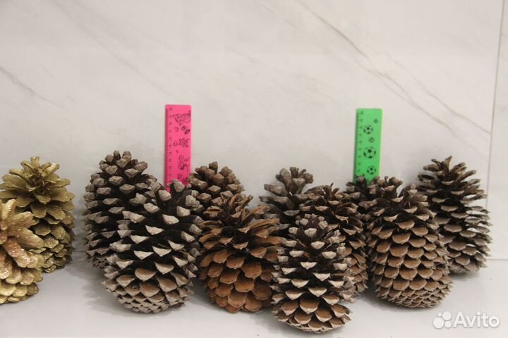 Шишки в ассортименте