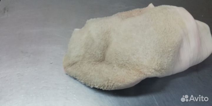 Товары для животных