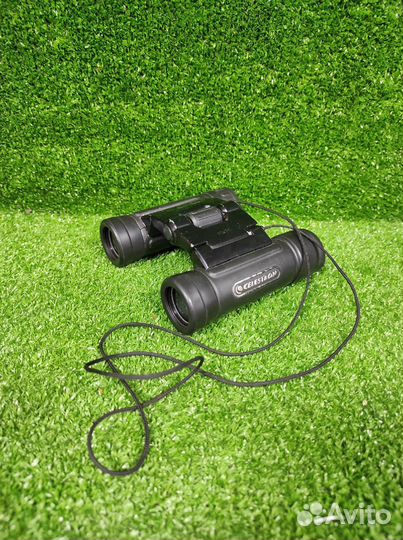Бинокль Celestron UpClose G2 10x25 Roof