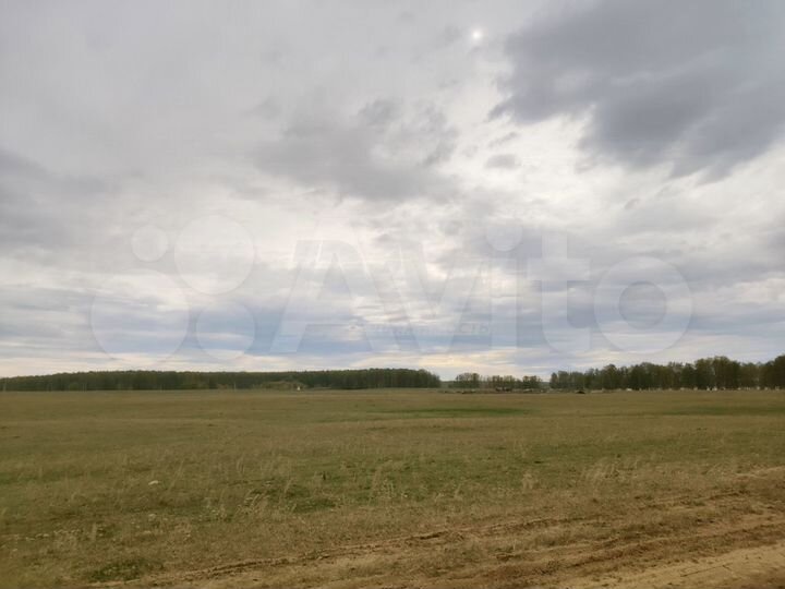 Участок 33 га (ИЖС)