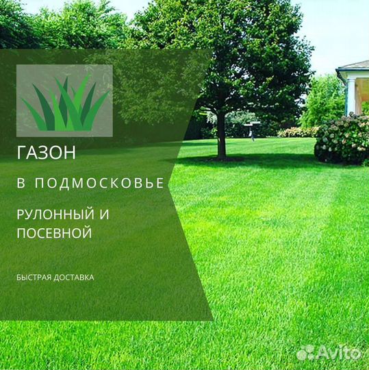 Рулонный газон