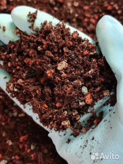 Грунт для ароидных