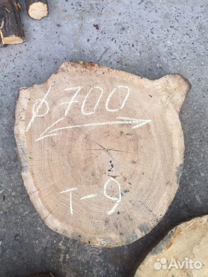 Спилы из дуба