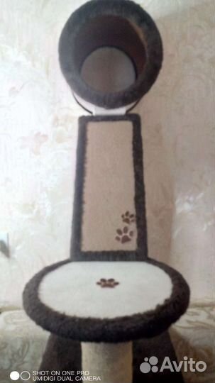 Когтеточка домик для кошки новый