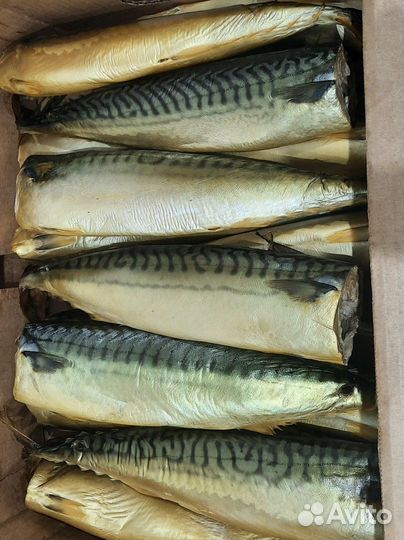 Копченая рыба оптом