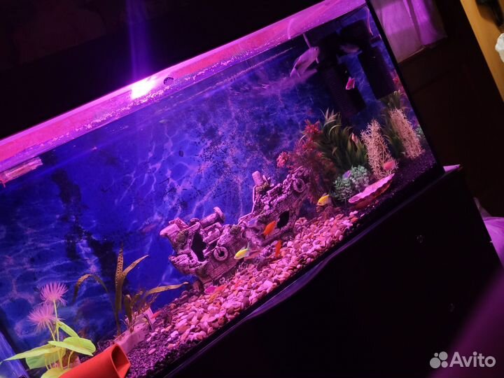 Аквариум