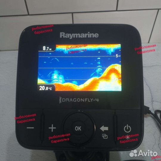 Raymarine Dragonfly 4DV
