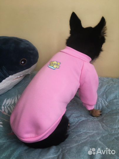Толстовка для собачки