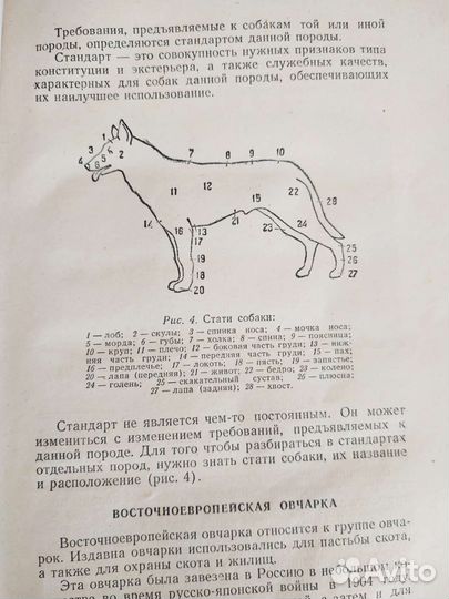 Собаковод-любитель, 1955 год, Изд досааф