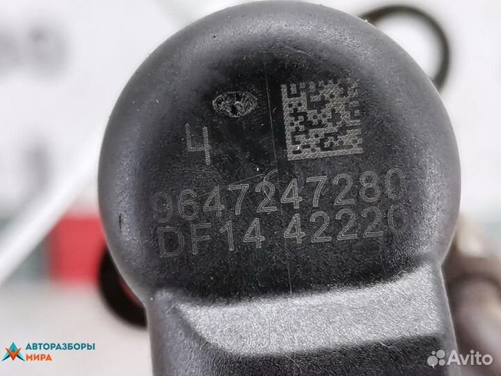 Форсунка Peugeot 407 2004 1980J5