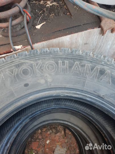 Advance AR209 4.25/11.5 R7