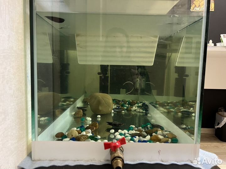 Аквариум для черепах