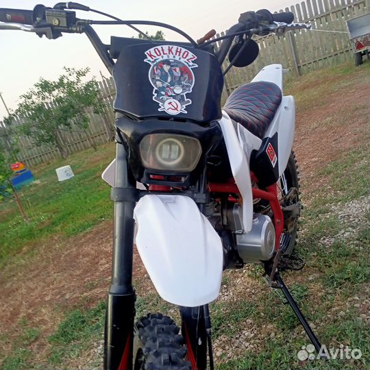 Питбайк Ирбис ттр