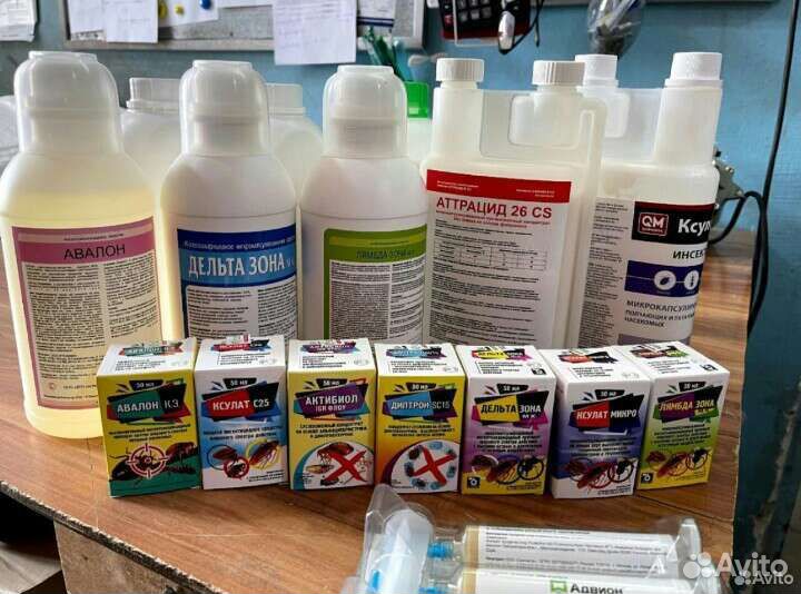 Уничтожение клопов тараканов мышей блох муравьев