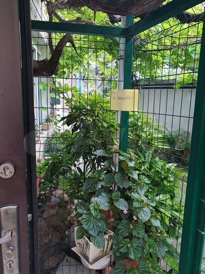 2-к. квартира, 40 м², 1/2 эт.