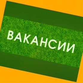 Оператор линии Вахта Еженедельные выплаты Жилье/Еда +Отл.Условия