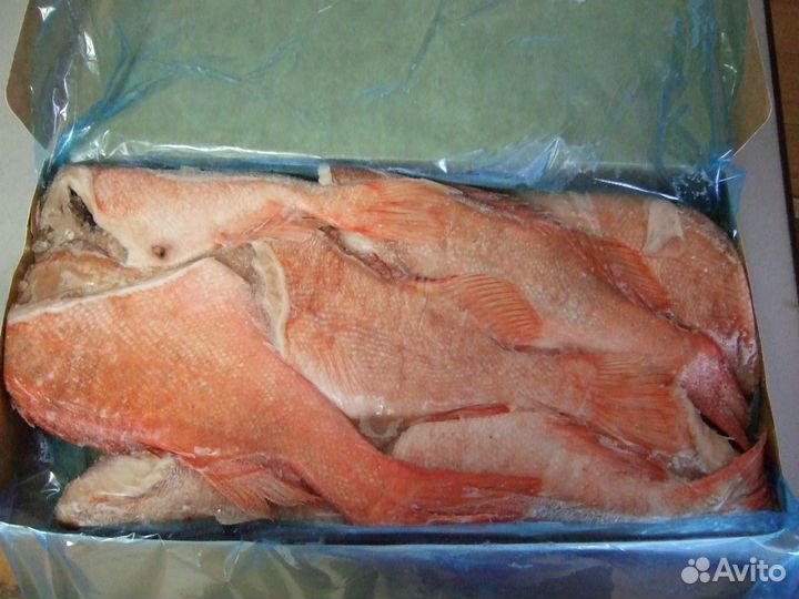 Свежая рыба. Прямые поставки из Мурманска