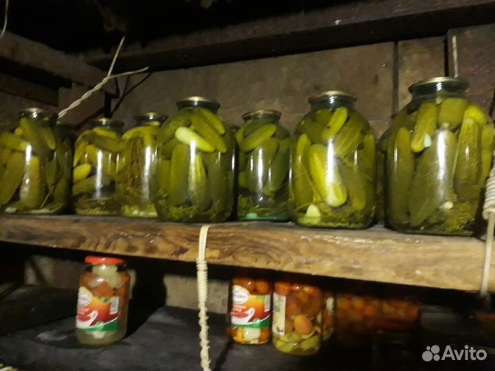 Продаю соления