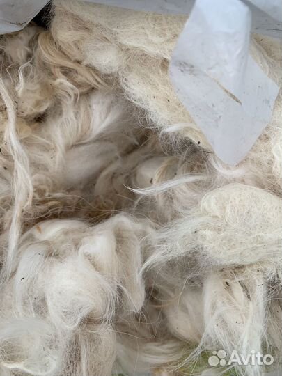 Собачья шерсть пух