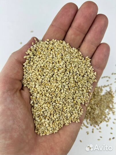 Кунжут белый