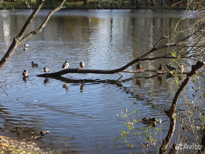 Консультации по вопросам жкх