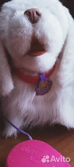 Интерактивная собачка