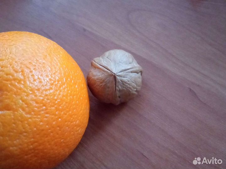 Коллекционный грецкий орех