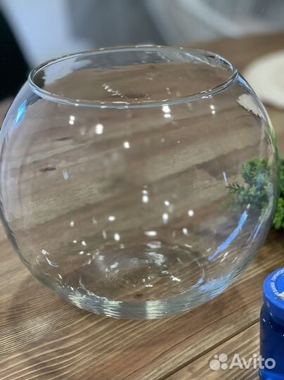 Аквариум кгруглый 5л + Водоросли+грунт