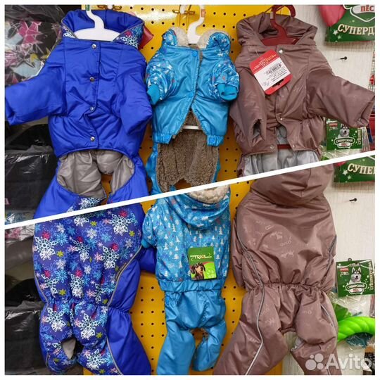 Одежда для собак