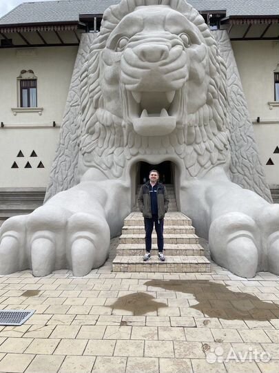 Свой человек в Москве/ помощник