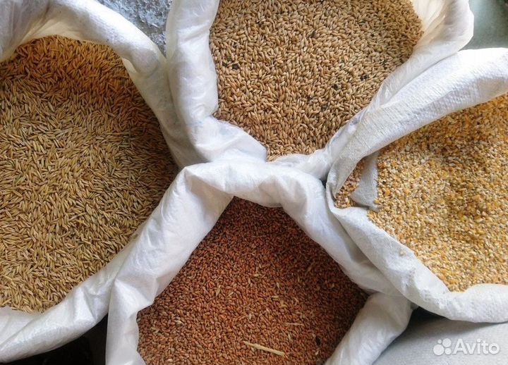 Комбикорма для птиц и с/х животных Оптом
