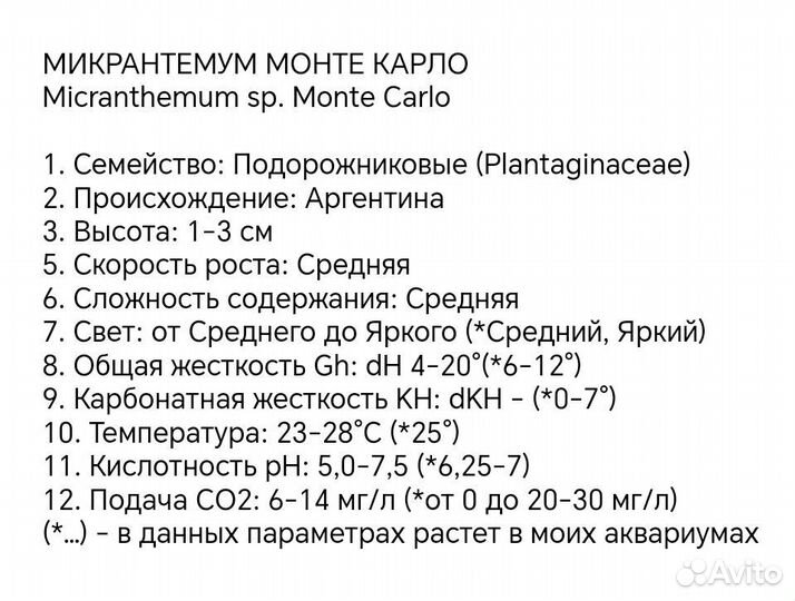 Аквариумные растения