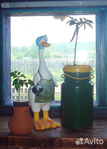 Бидон эмалированный СССР