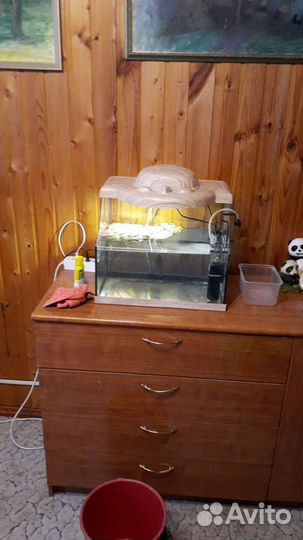 Аквариум 30 литров