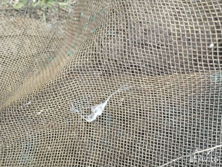 Медная сетка