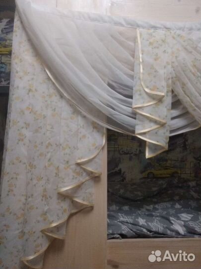 Красивый Ламбрекен