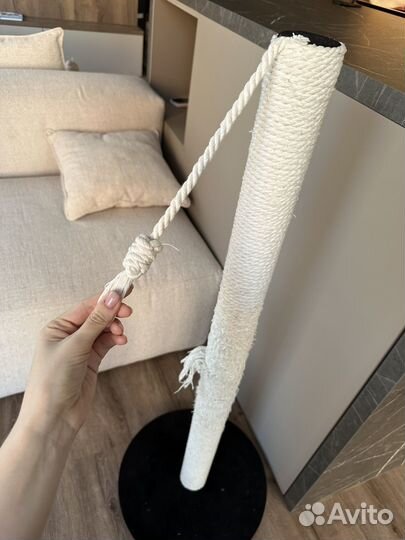 Когтеточка для кошек