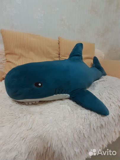 Акула. Забирайте. Не кусается