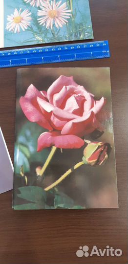 Открытки СССР