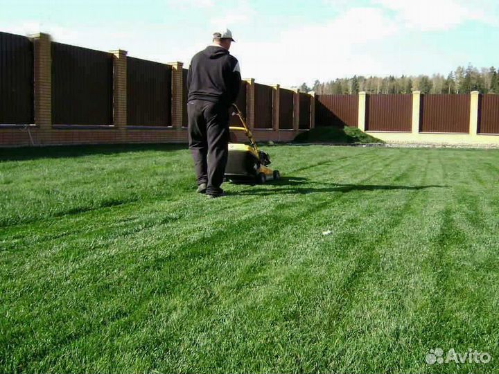 Укладка и продажа газона