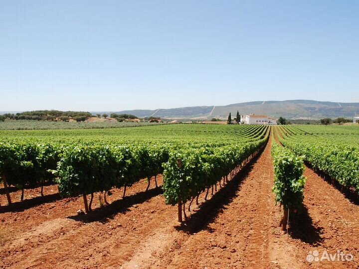 Лиссабон Топ-Экскурсия Секреты заповедных гор Аррабида