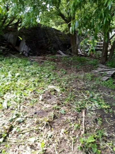 Участок 50 сот. (ИЖС)