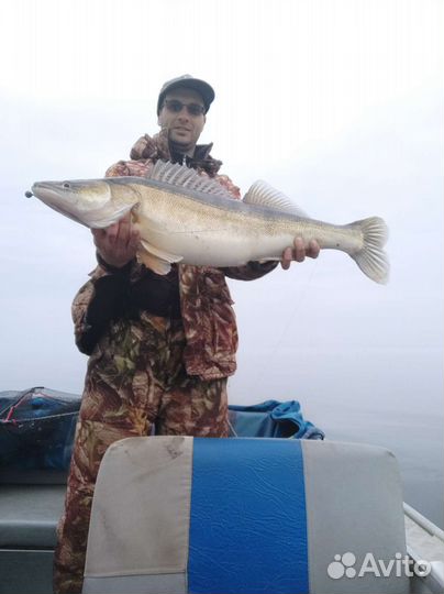 Рыбалка с лодки на Волге