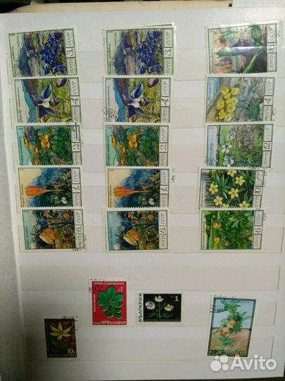 Марки (2) флора и фауна