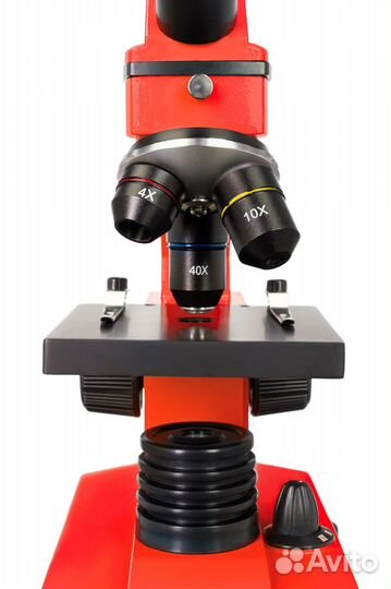 Микроскоп Levenhuk Rainbow 2L plus Апельсин