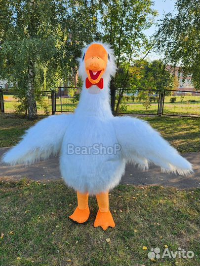 Костюмы для поздравлений Новые