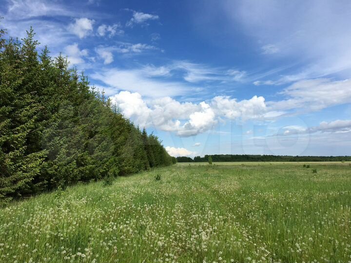 Участок 16 га (СНТ, ДНП)