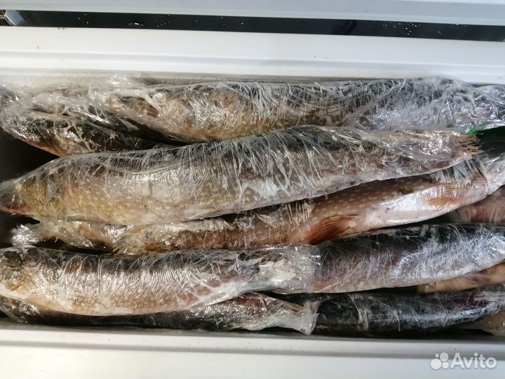 Щука свежемороженая